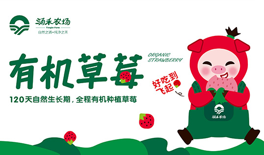 涌禾農場有機草莓品牌全案策劃設計IP吉祥物設計