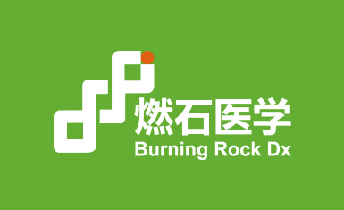 燃石醫學醫療品牌形象vi設計