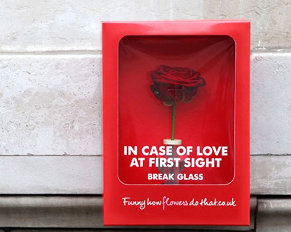 尚略上海廣告設計公司分享6荷蘭花卉組織廣告