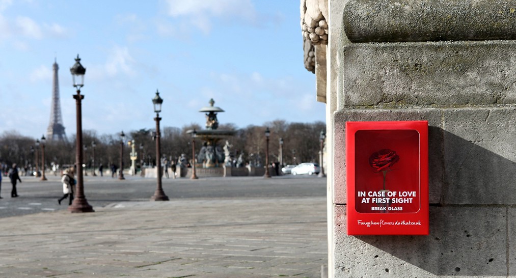 荷蘭花卉協會巴黎情人節游擊營銷推廣_尚略品牌策劃公司 品牌設計公司 品牌設計公司