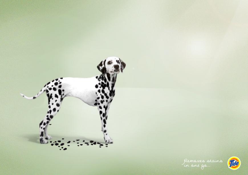 汰漬洗衣粉廣告創意設計2