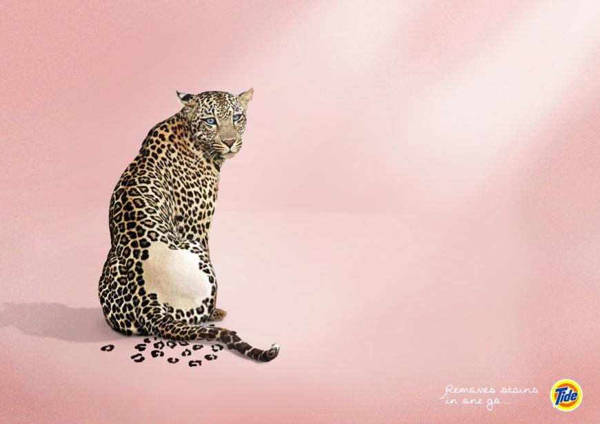 汰漬洗衣粉廣告創意設計3