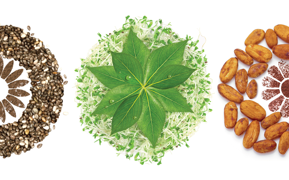 營養(yǎng)食品保健品包裝設(shè)計——Nature Own 大自然超級食品營養(yǎng)補充劑包裝設(shè)計包裝配圖-尚略廣告品牌策劃公司