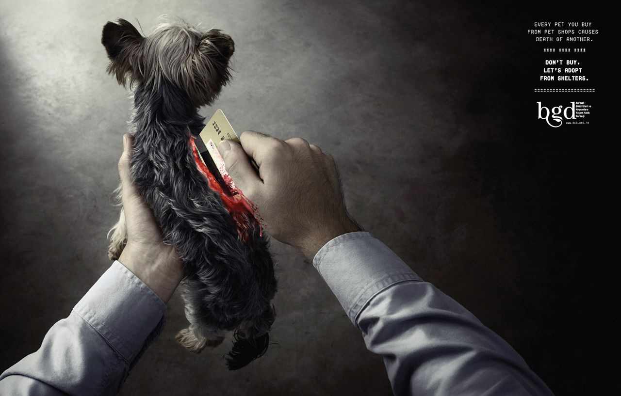 上海廣告設計公司廣告分享——土耳其動物保護協會公益廣告創意設計——狗篇