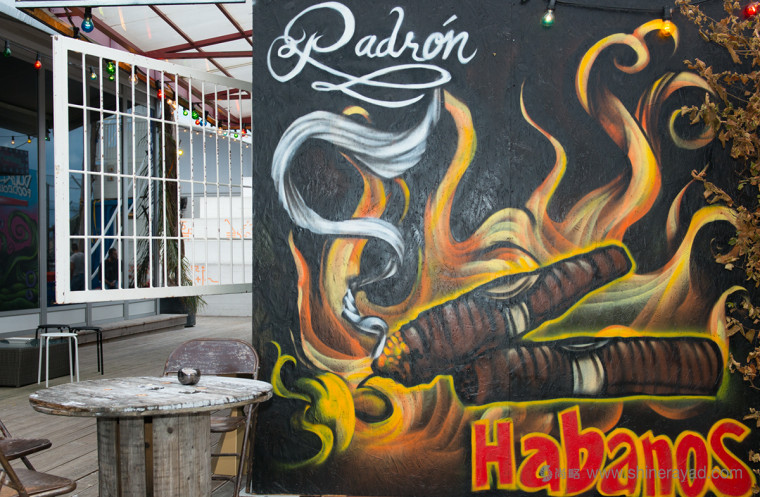 碼頭夜總會海洋生物文化墻壁紙插畫設(shè)計(jì)--上海品牌設(shè)計(jì)公司欣賞7