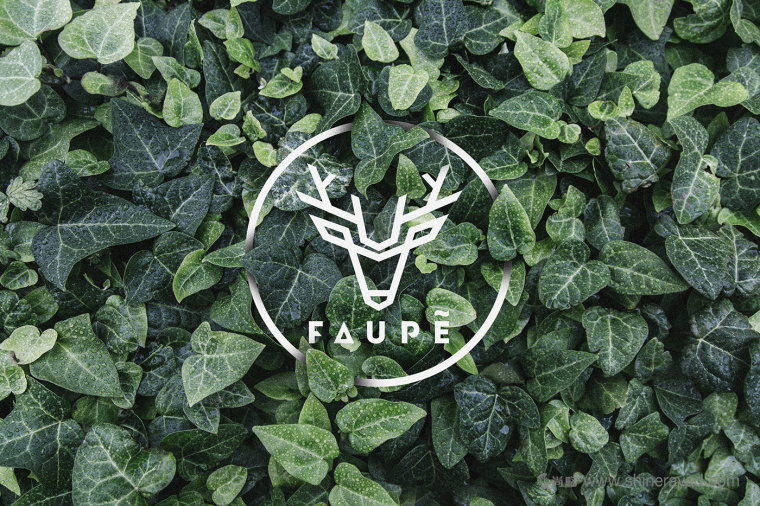 FAUPè 高級時尚女裝服飾品牌形象設計13