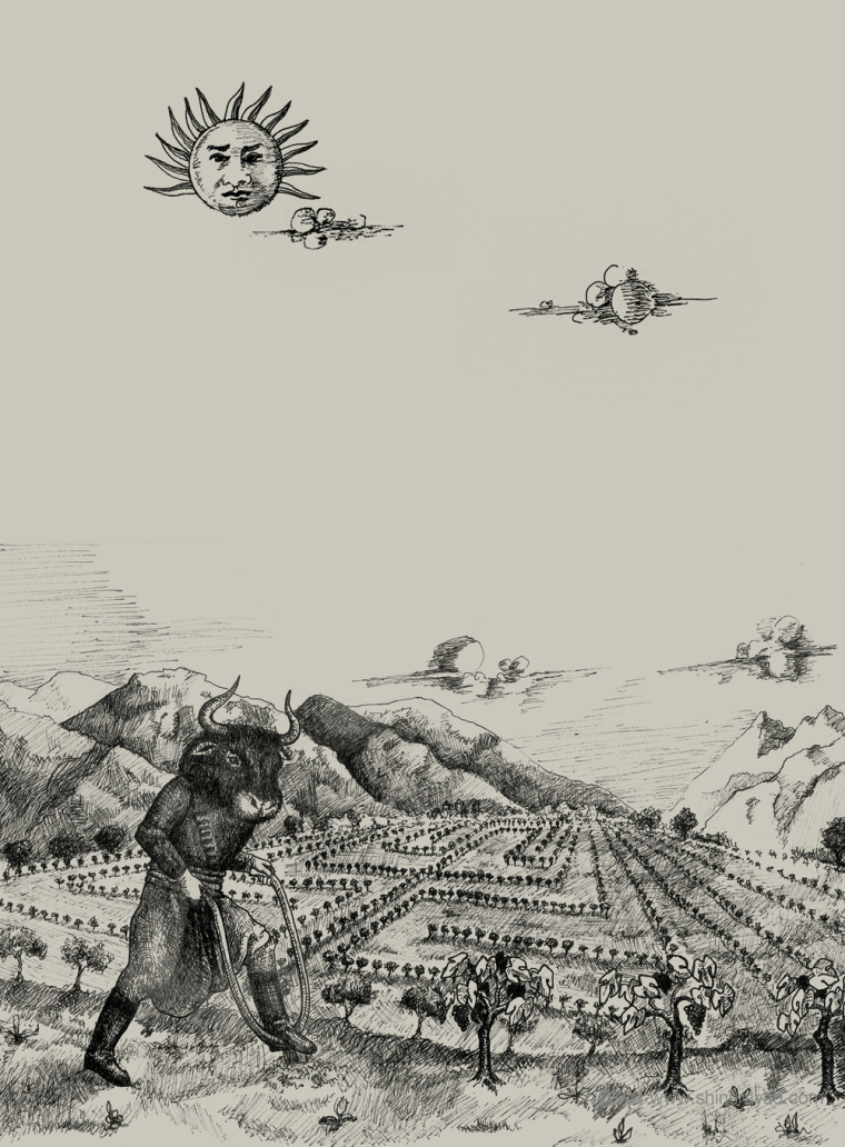 上海包裝設計公司分享：tsikoudia 手繪牛頭人插畫白酒包裝設計2