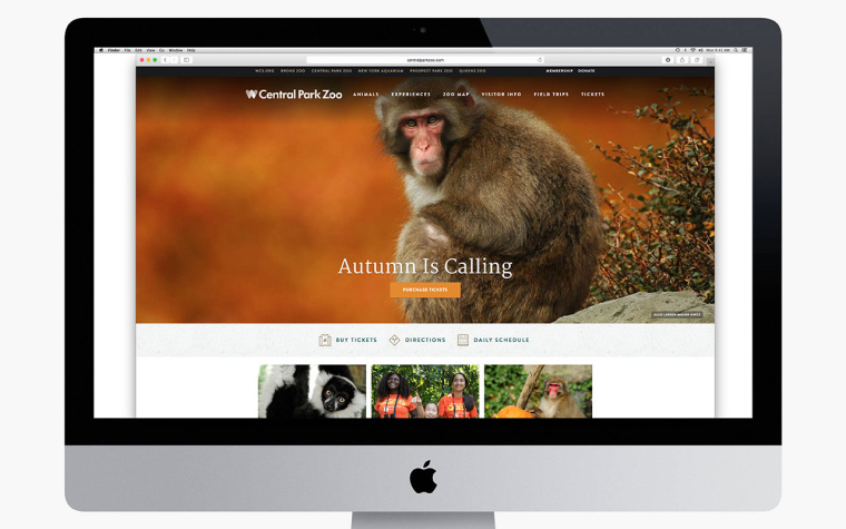 WCS國際野生生物保護學會品牌VI形象設計-網站設計-上海VI設計公司12