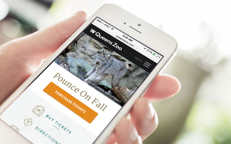 WCS國際野生生物保護學會品牌VI形象設計--網站設計-上海VI設計公司13