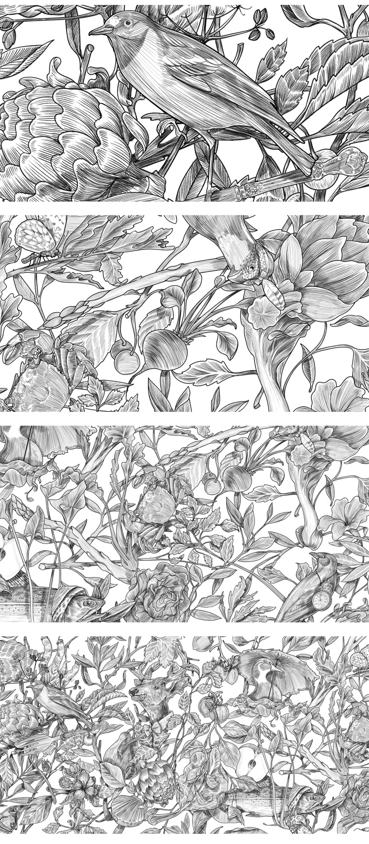 Botanique 餐廳植物鳥兒商業藝術插畫設計-上海品牌形象設計公司2