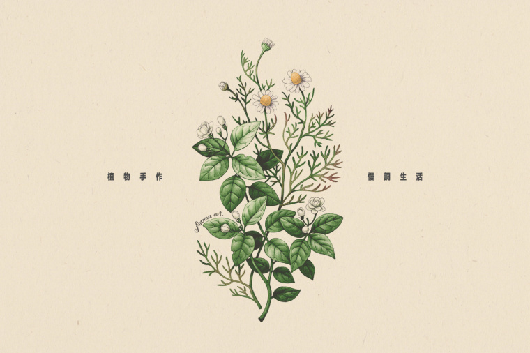 香圃芳香生活用品品牌VI設計-上海VI設計公司8