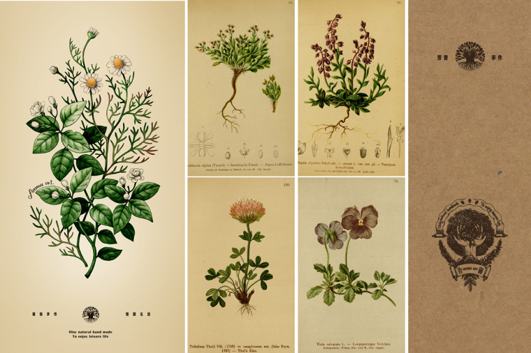 香圃芳香生活用品品牌VI設計-上海VI設計公司10