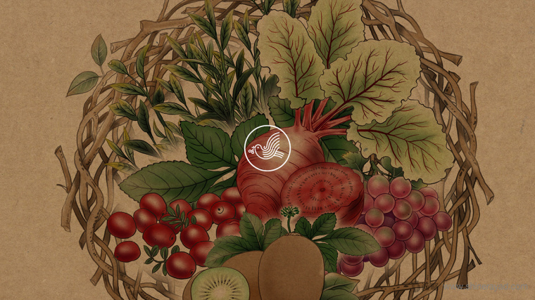 臺灣樂酶酵素包裝設計-上海包裝設計公司包裝佳作欣賞1