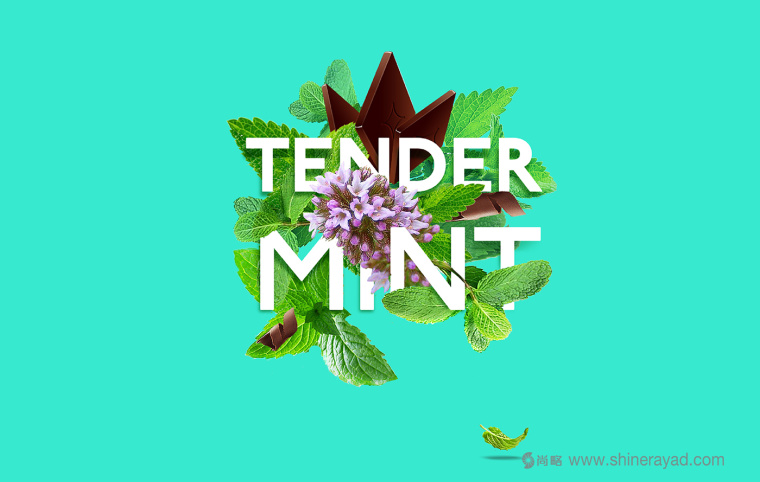 TRUE 花草口味巧克力包裝設計-上海食品包裝設計公司包裝設計品鑒3