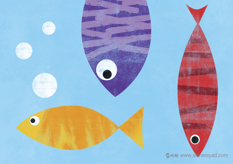 獨立漁業海魚海鮮水產產品包裝設計--包裝插圖設計--上海包裝設計公司設計品鑒6