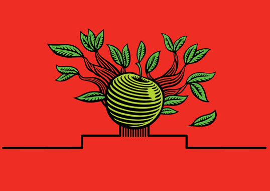 Cide蘋果酒梨子酒果酒包裝設計-水果插畫酒標設計-上海包裝設計公司設計品鑒7