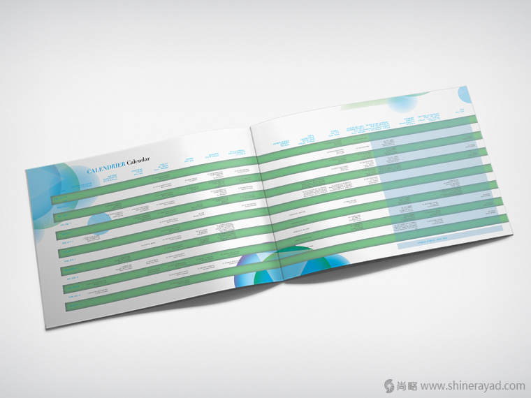 2015年新年國際年舞蹈節宣傳畫冊設計-上海畫冊設計公司欣賞4