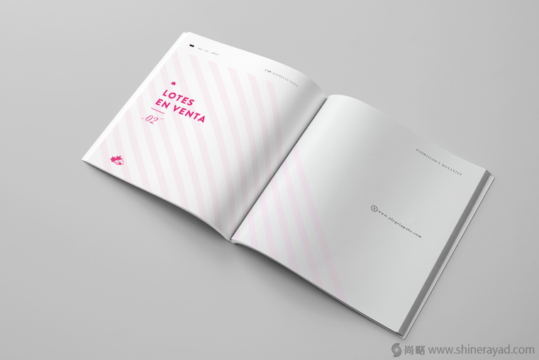 3.上海畫冊設(shè)計公司-Alegria 馬球協(xié)會宣傳畫冊設(shè)計欣賞