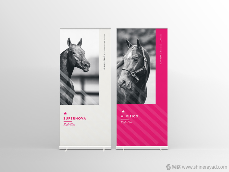 5.上海畫冊設(shè)計公司-Alegria 馬球協(xié)會宣傳畫冊設(shè)計欣賞