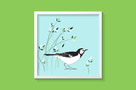 英國(guó)鳥類插畫設(shè)計(jì)-上海插畫設(shè)計(jì)公司-上海品牌設(shè)計(jì)公司3