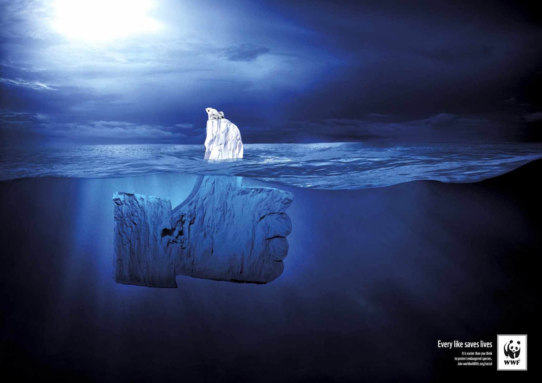 世界自然基金會WWF拯救北極熊創意平面廣告設計-支持篇