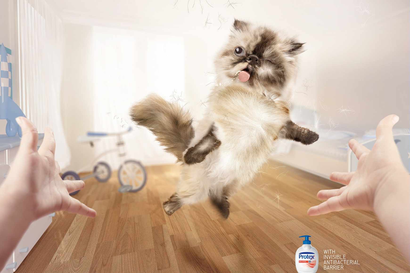 上海廣告設(shè)計公司廣告分享：Protex抗菌洗手液寵物平面廣告創(chuàng)意設(shè)計-貓篇