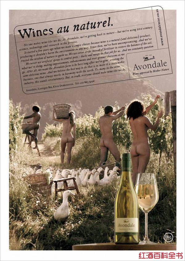 SLO Down葡萄酒平面廣告創(chuàng)意設(shè)計(jì)2