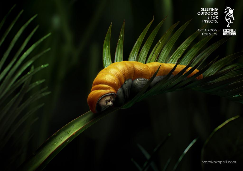 Kokopelli背包客旅館青蟲篇創意平面廣告設計-國外創意廣告欣賞2