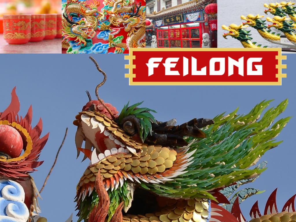 上海包裝設(shè)計(jì)公司設(shè)計(jì)欣賞：喜力飛龍啤酒包裝設(shè)計(jì)2-設(shè)計(jì)元素來(lái)源