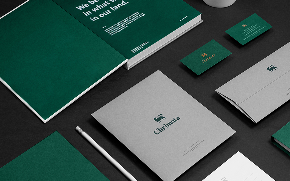 上海品牌策劃設(shè)計(jì)公司分享：Chrimata投資咨詢公司品牌形象設(shè)計(jì)VI設(shè)計(jì)6