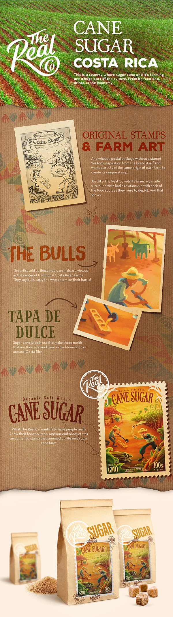 The Real Co有機糧食包裝設計-上海包裝設計公司分享1