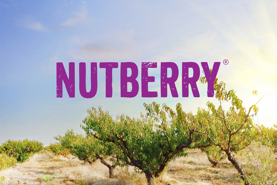 Nutberry 健康有機食品干果品牌塑造之標志設(shè)計1