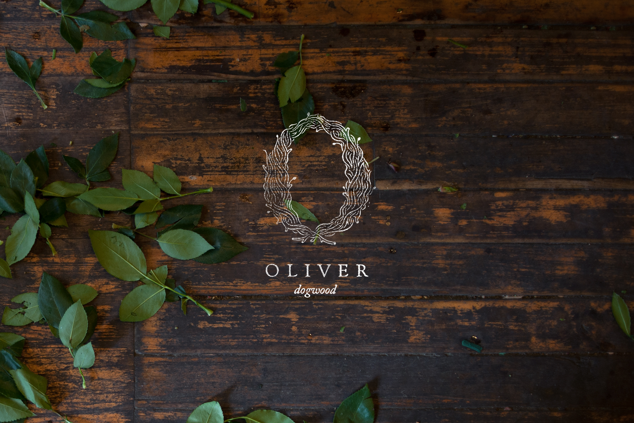 1.OLIVER DOGWOOD 鮮花花卉店-字母Q標(biāo)志設(shè)計(jì)