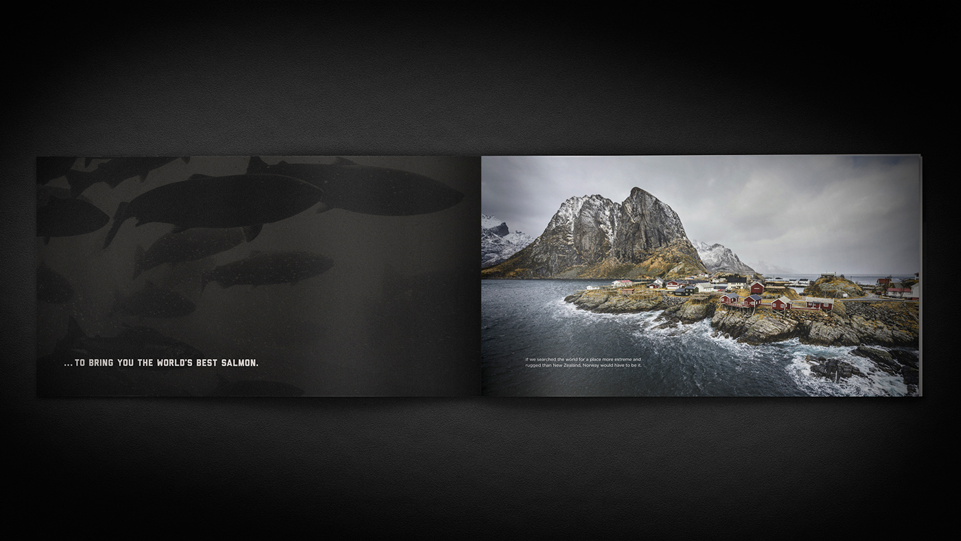 美國聯合漁業公司海鮮海魚畫冊設計3