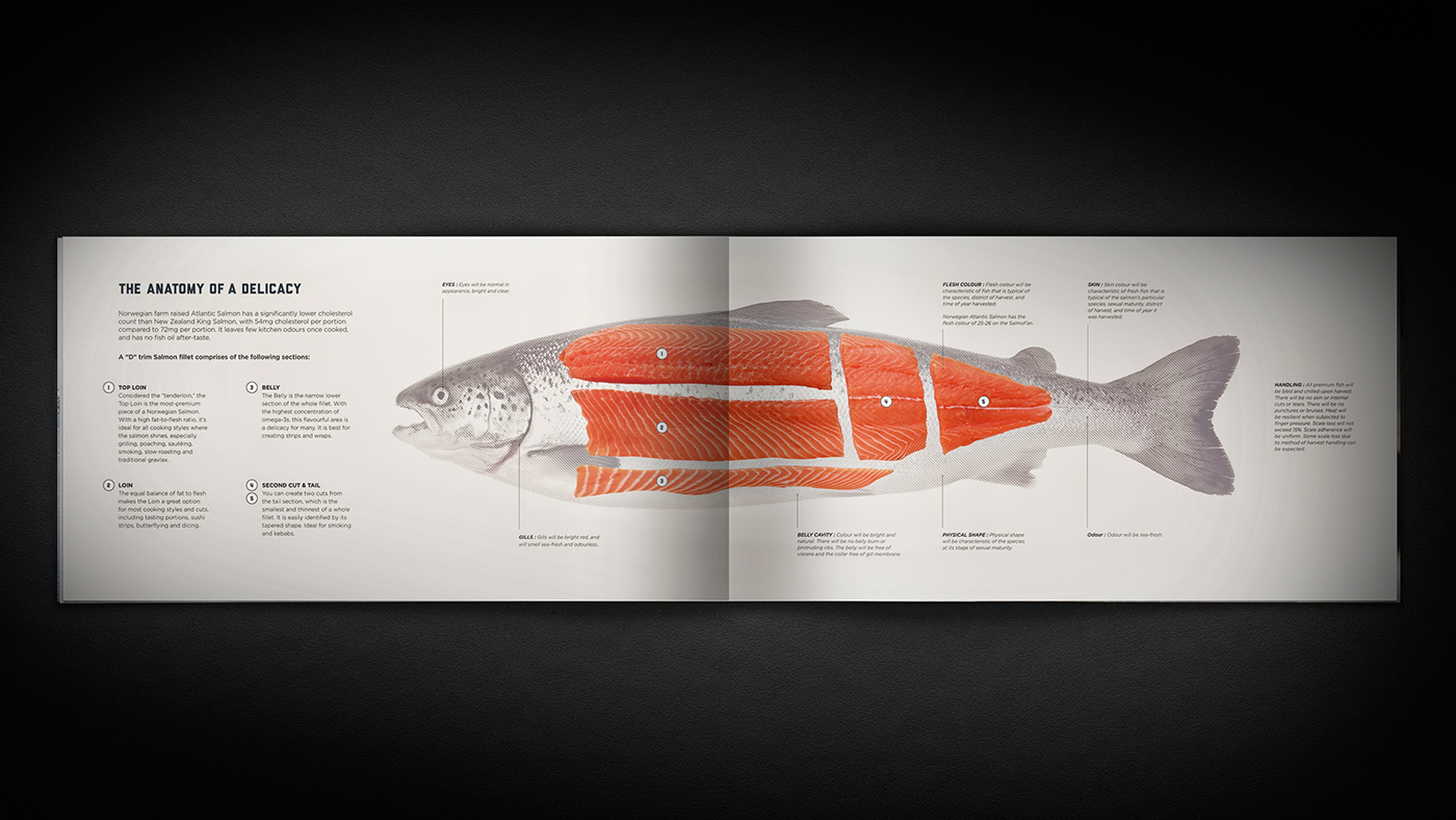 美國聯合漁業公司海鮮海魚畫冊設計7