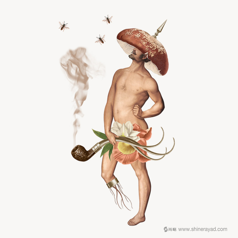 澳大利亞StrangeLove 能量飲料包裝設計-上海包裝設計公司國外包裝設計欣賞1