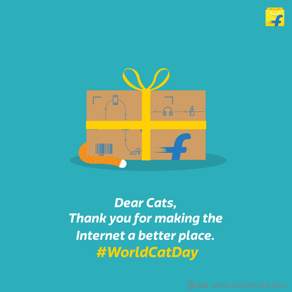 度最大的電商公司Flipkart黃色購物袋LOGO設計4-包裝盒子設計