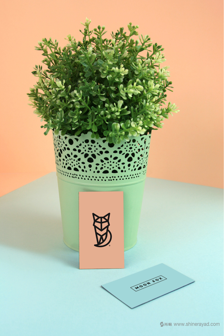 moon fox 月亮狐貍女性內衣服飾品牌VI形象設計14