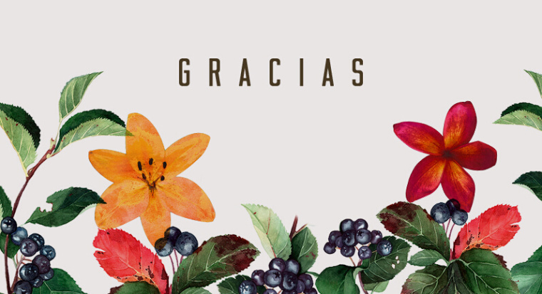 Quara 含酒精果味飲料品牌形象設(shè)計(jì)7