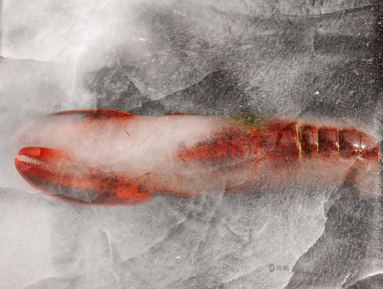 龍蝦大師品牌包裝設計龍蝦圖片設計-上海包裝設計公司5