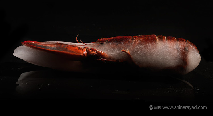 龍蝦大師品牌包裝設計龍蝦圖片設計-上海包裝設計公司6