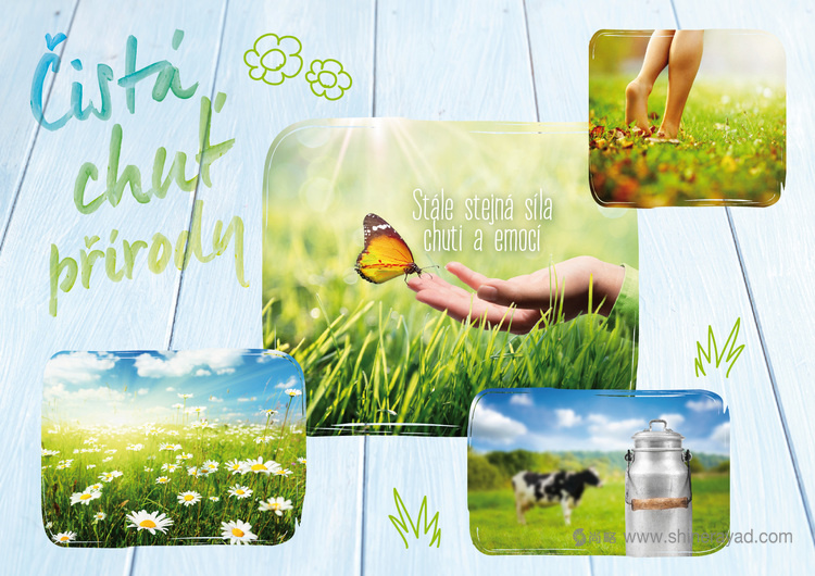 國外包裝設計欣賞-Lu?ina 藍瓊纓奶油奶酪包裝設計6