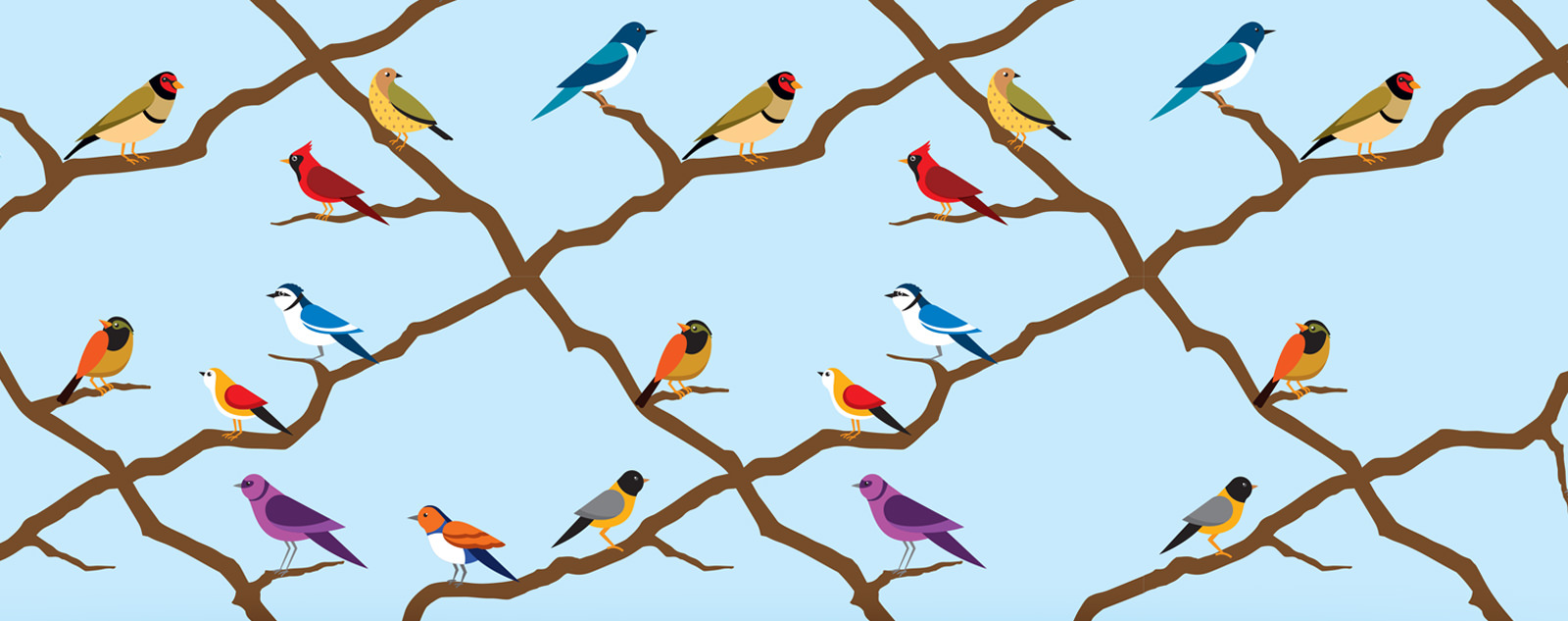 Bonora巧克力包裝設計-小鳥插畫設計