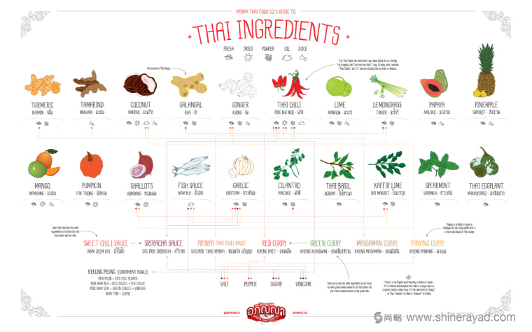 泰國辣醬apinya品牌小章魚核心視覺品牌形象塑造4-產(chǎn)品說明書設(shè)計