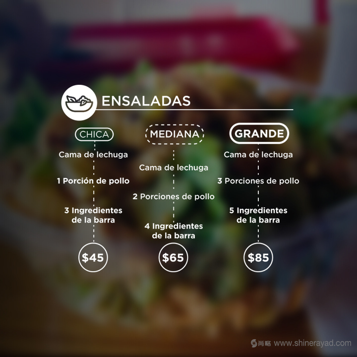 Quick Salads 沙拉有機素食餐廳VI設計8-餐廳菜單價目表設計