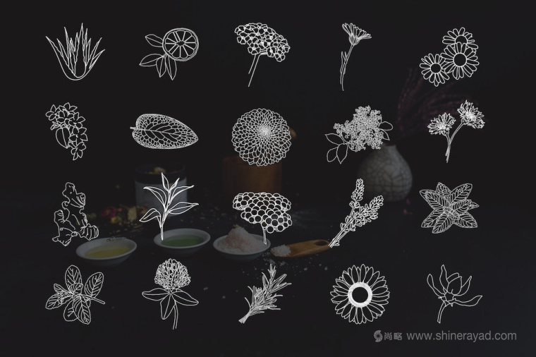 自然水彩插畫風格 Hippie 美容護膚品包裝設(shè)計-ICON圖標設(shè)計1