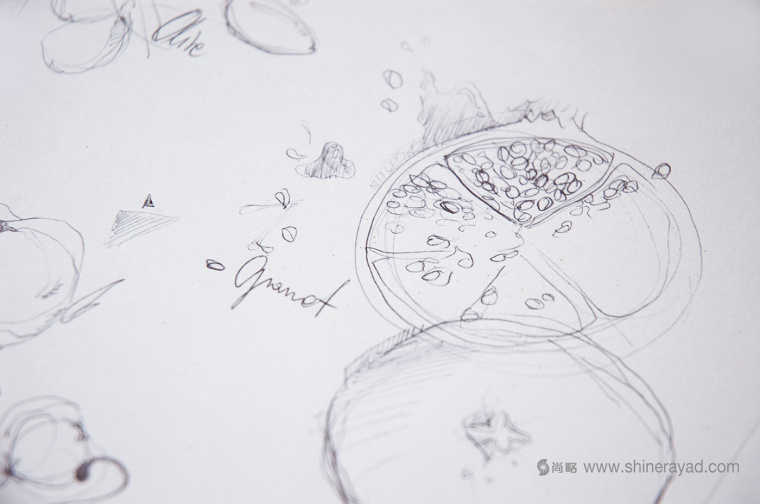 ORGANICALL有機化妝品宣傳畫冊與折頁設計花草插畫設計-上海畫冊設計公司3