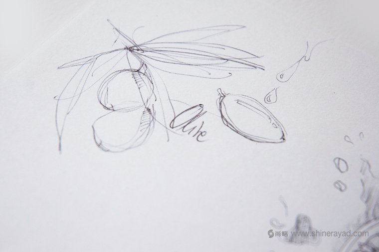 ORGANICALL有機化妝品宣傳畫冊與折頁設計花草插畫設計-上海畫冊設計公司5