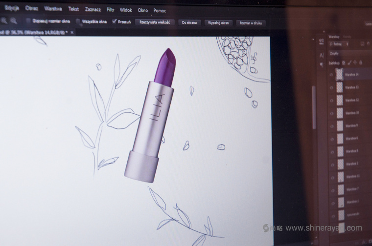 ORGANICALL有機化妝品宣傳畫冊與折頁設計花草插畫設計-上海畫冊設計公司6