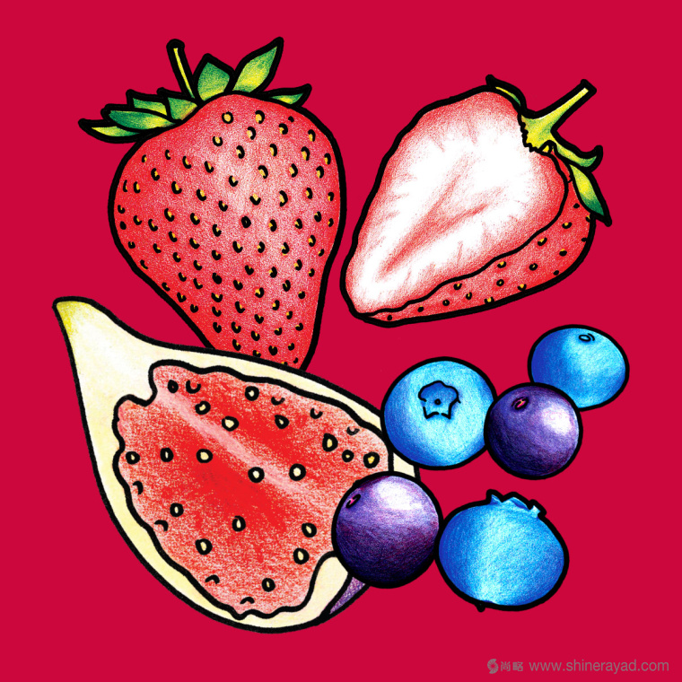 Figgin’ Fruit 無花果餅干包裝設(shè)計船長人物水果插畫設(shè)計篇-上海食品包裝設(shè)計公司7